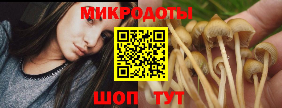 Галлюциногенные грибы мухоморы Рыбинск